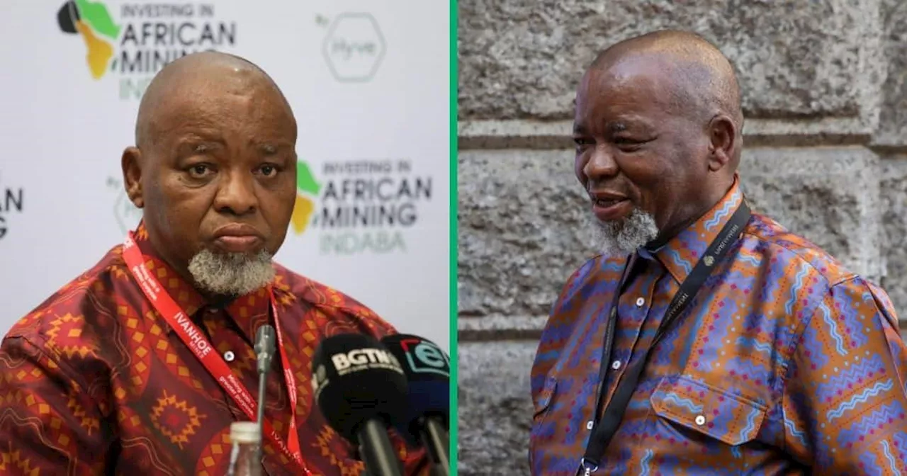 Gwede Mantashe Praises Himself As Most Productive Energy Minister, South Africans Laugh