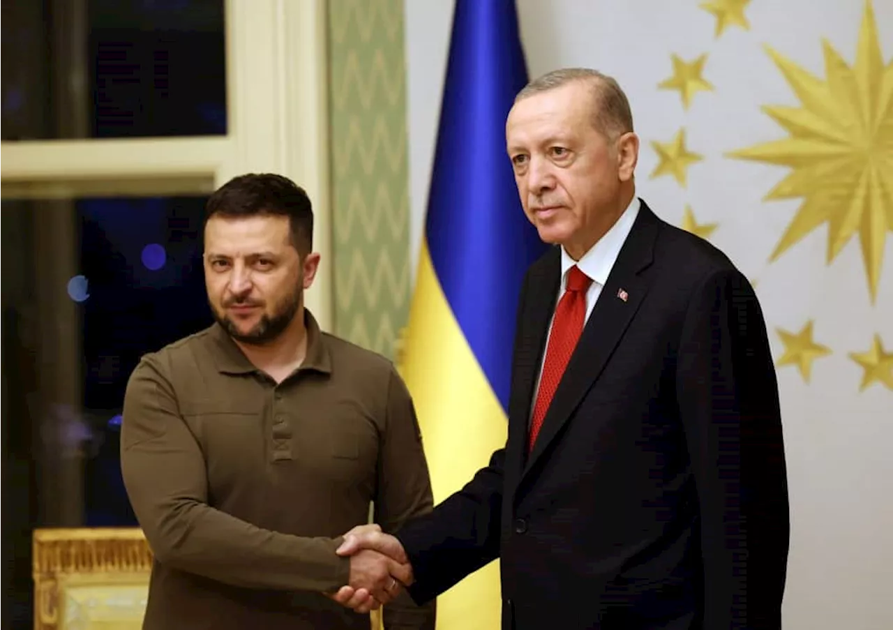 Zelensky holds Istanbul talks with Erdogan on war, Black Sea