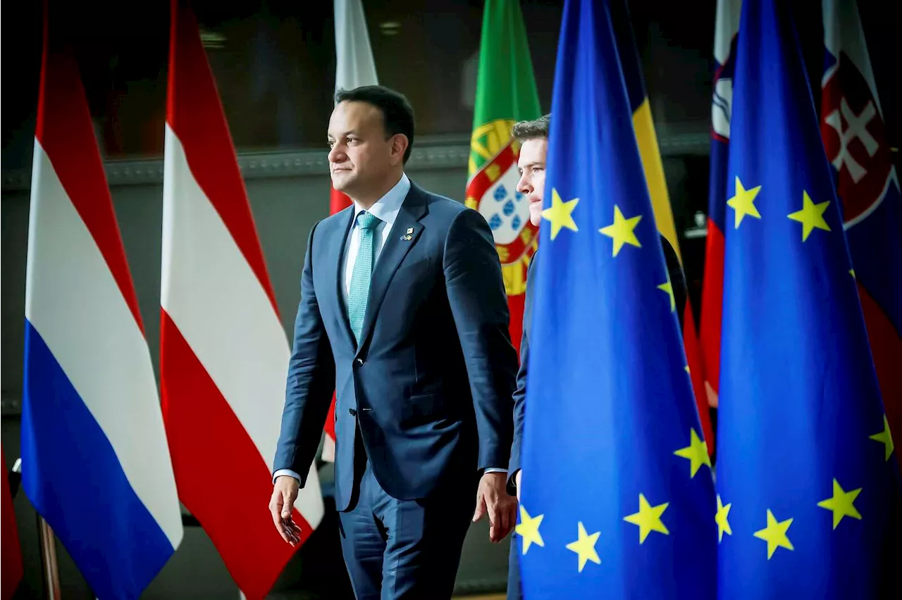 Lucinda Creighton: Leo Varadkar’s drift from biggest EU political bloc is short-sighted