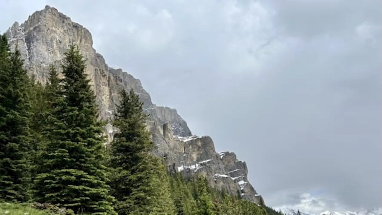 Parks Canada probe finds 'no signs of cougar activity' following February attack claim