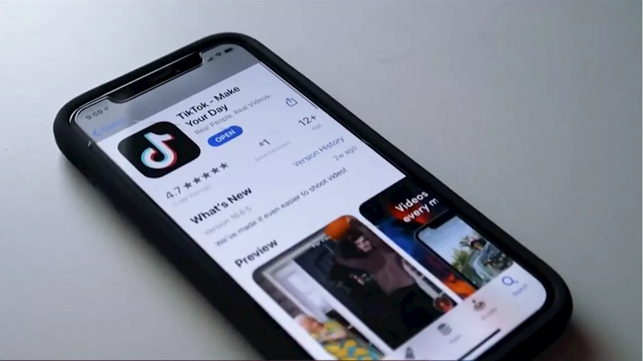 Understanding the possible TikTok ban and its impact on users and data security