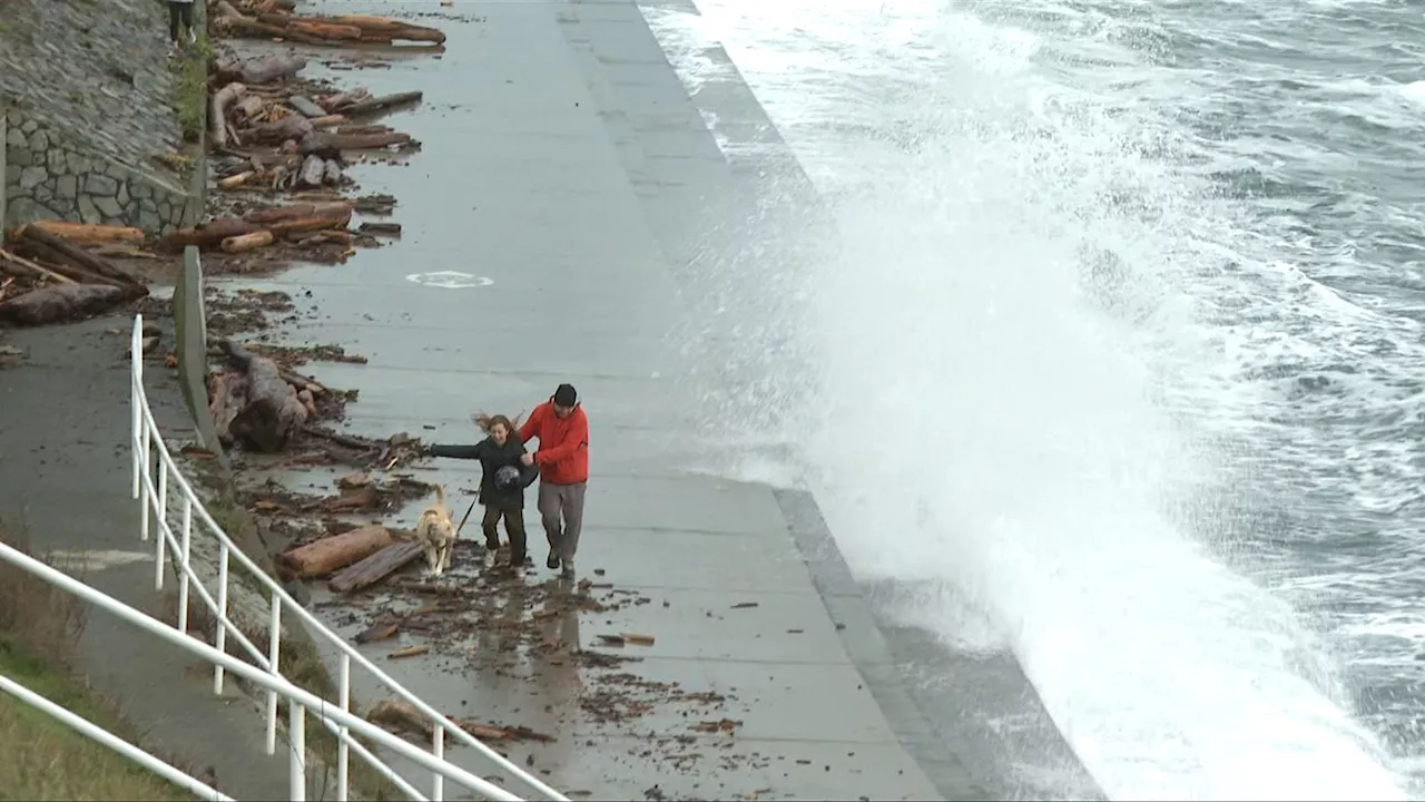 Winds up to 100 km/h forecast for Victoria and East Vancouver Island