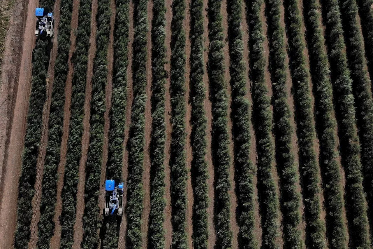 El campo, amigo público número uno de Europa