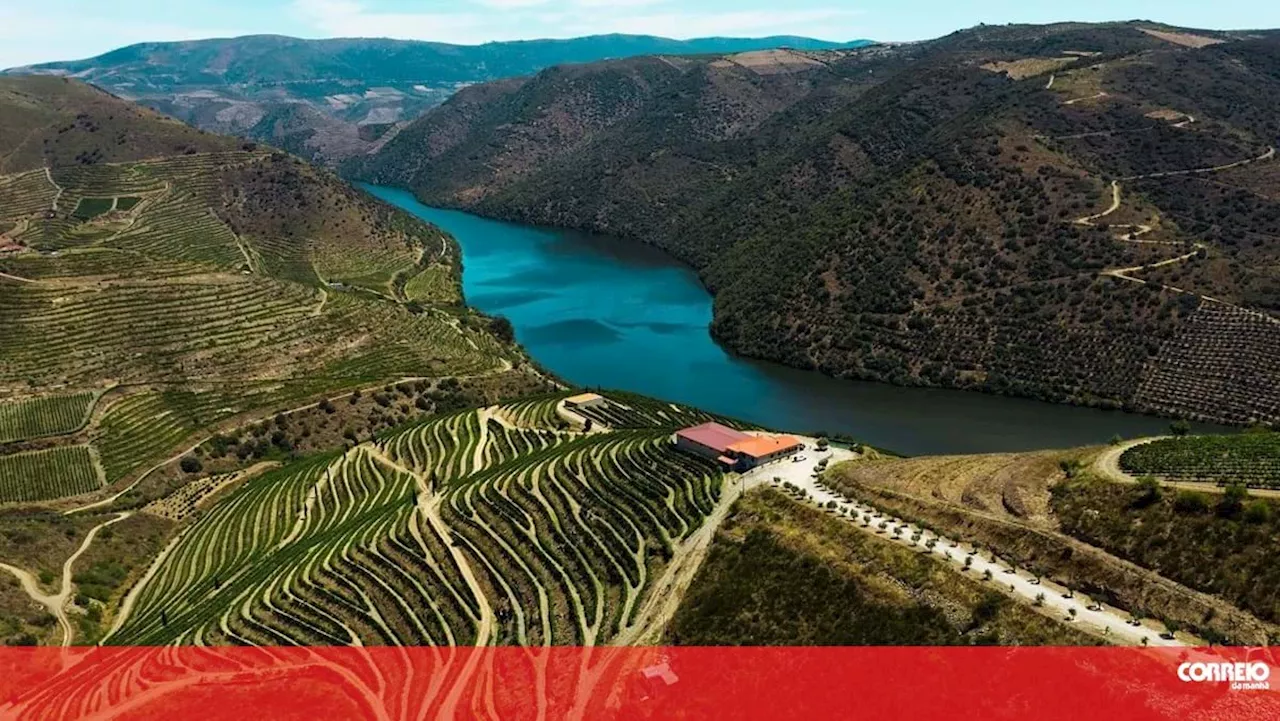 Primeiro vinho do Douro da Casa Ermelinda Freitas conquista medalha de grande ouro na França