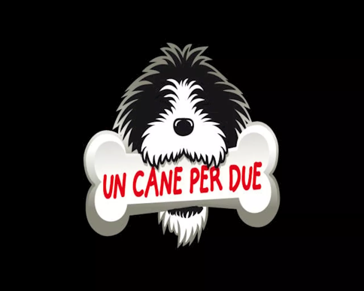 Un cane per due - Film (2010)