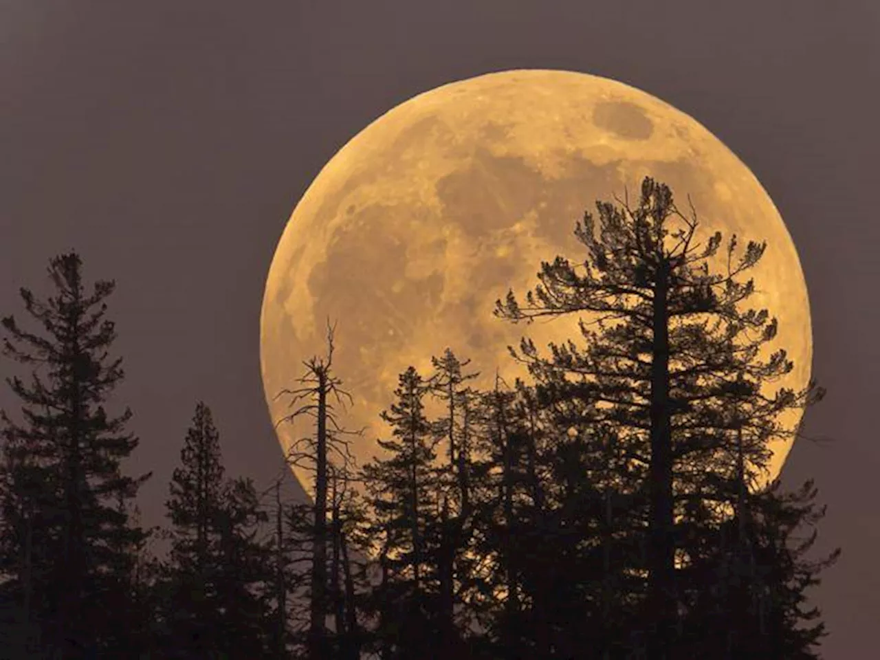 C’è la corsa allo spazio, ma di chi è la Luna?