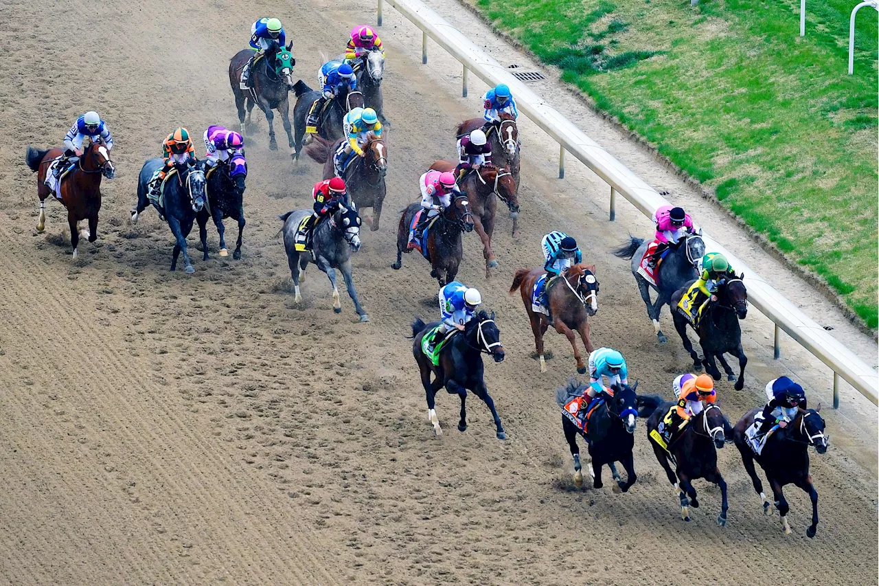 Road to the Kentucky Derby Picks and Best Bets for March 9: Tampa Bay Derby