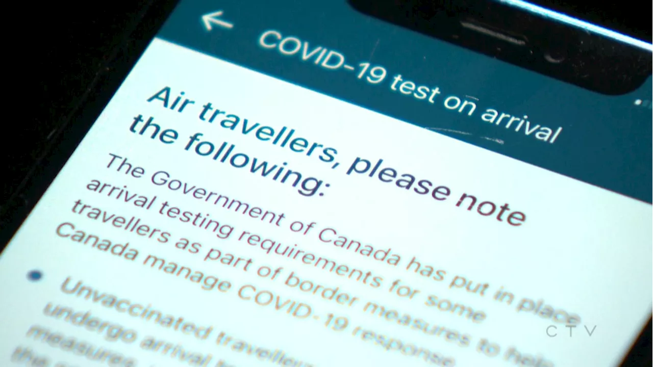 Contractor defends work on ArriveCan app, says conflict concerns were addressed