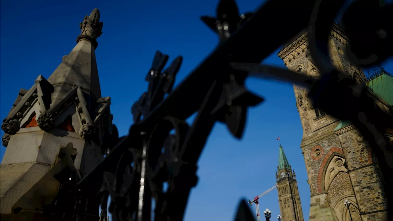 MPs to move on AI bill without testimony from Canadian companies: business group