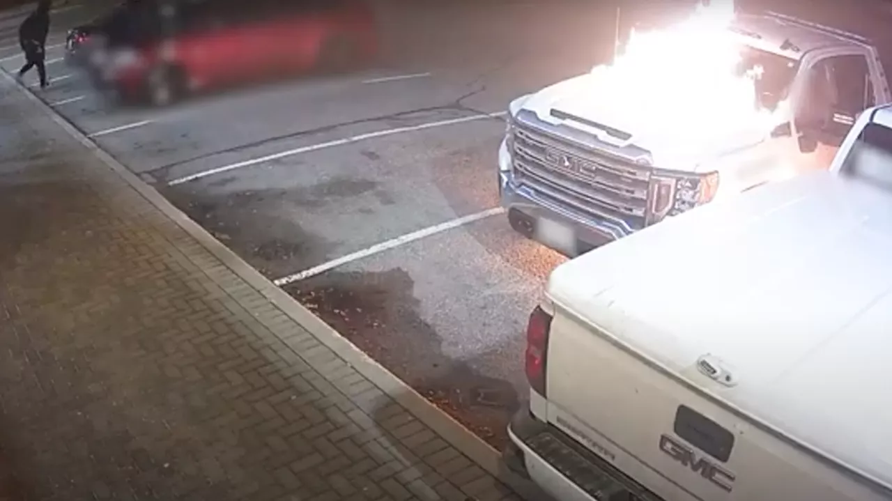 Video shows suspects lighting tow truck on fire with driver inside in Richmond Hill