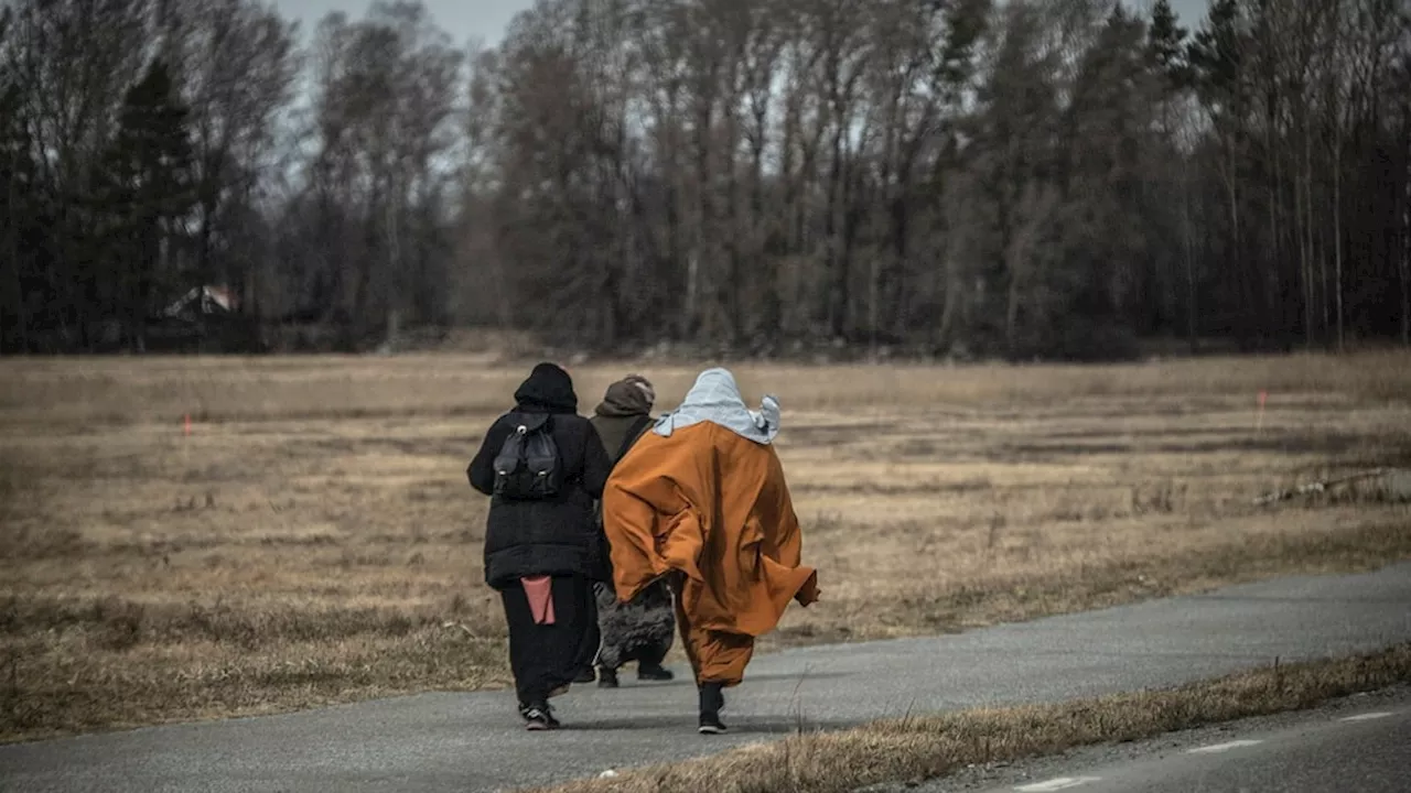 ”Flyktingdebatten har ett skevt fokus på problem”