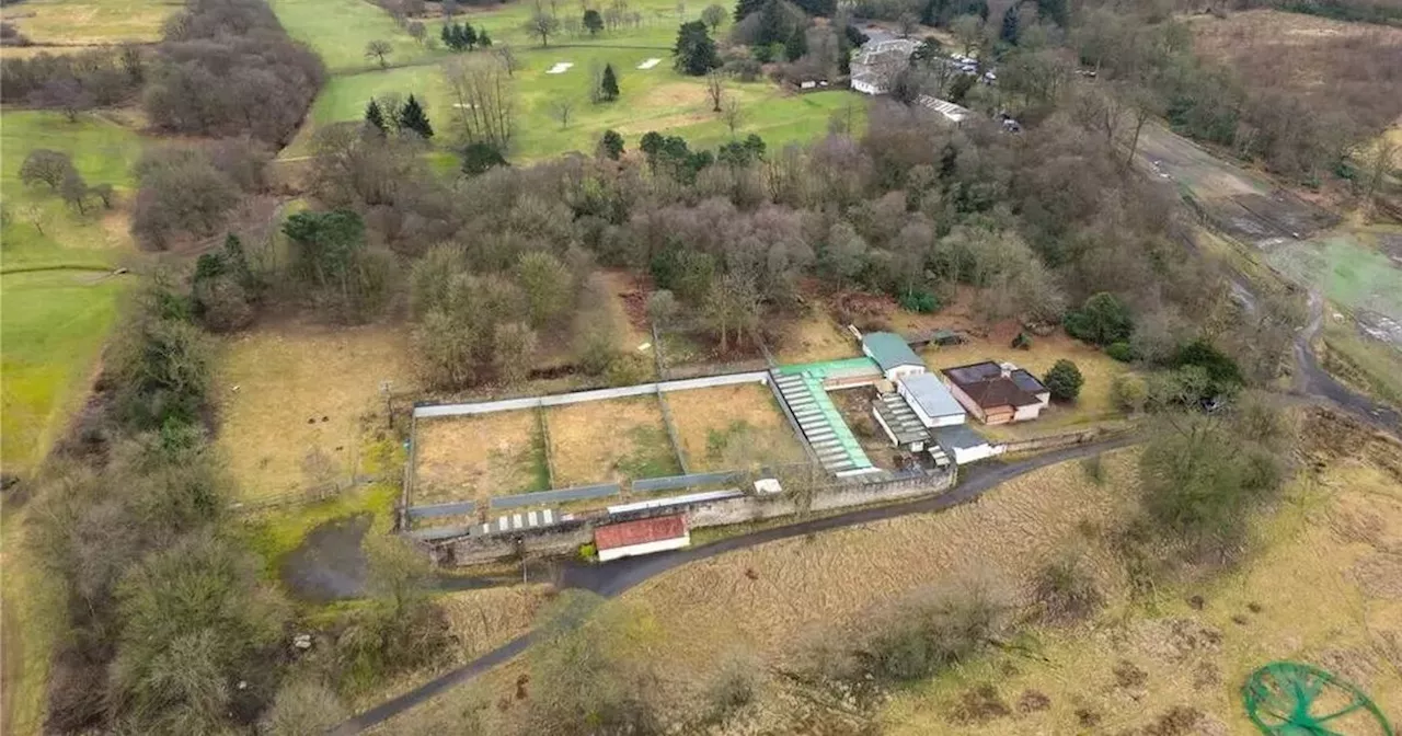 Inside eerie abandoned pets hotel surrounded by woodland near Glasgow