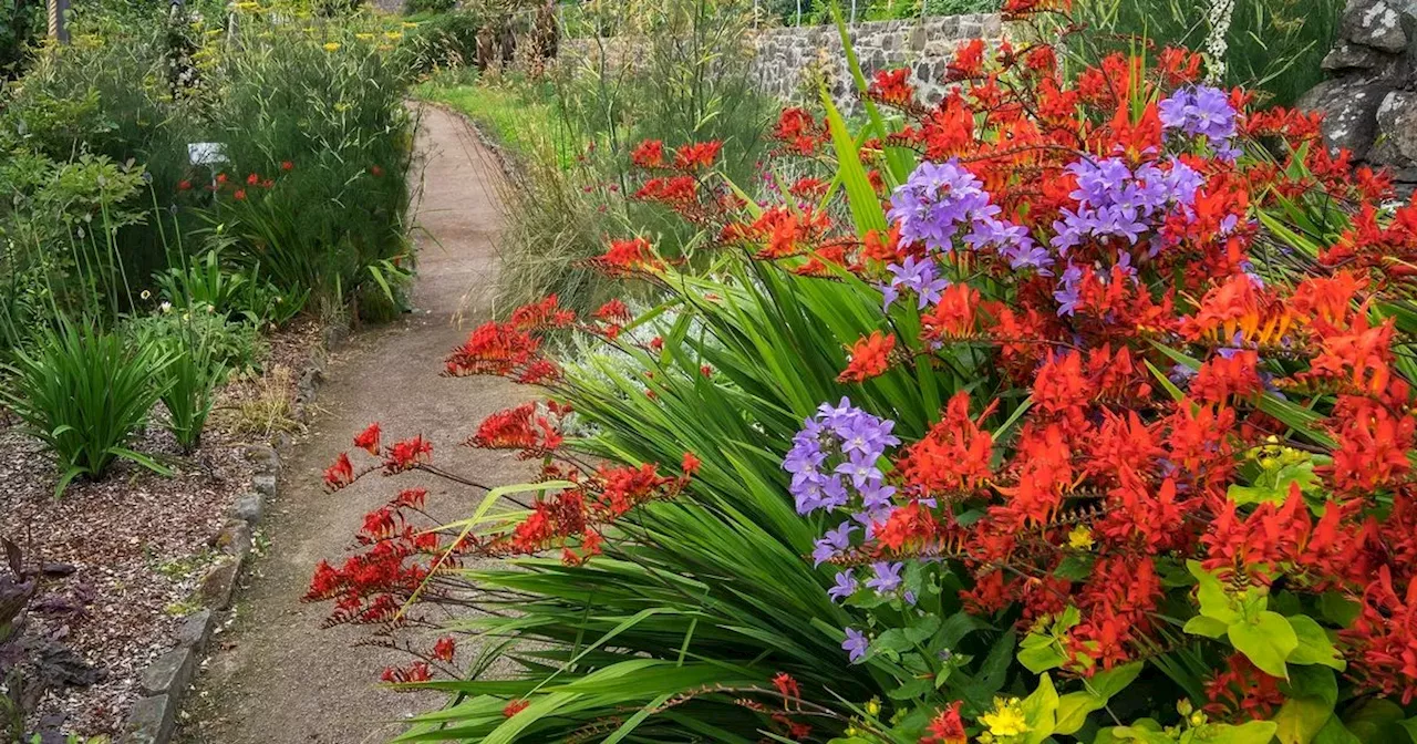 Seven pretty Scottish gardens perfect for a colourful spring day out