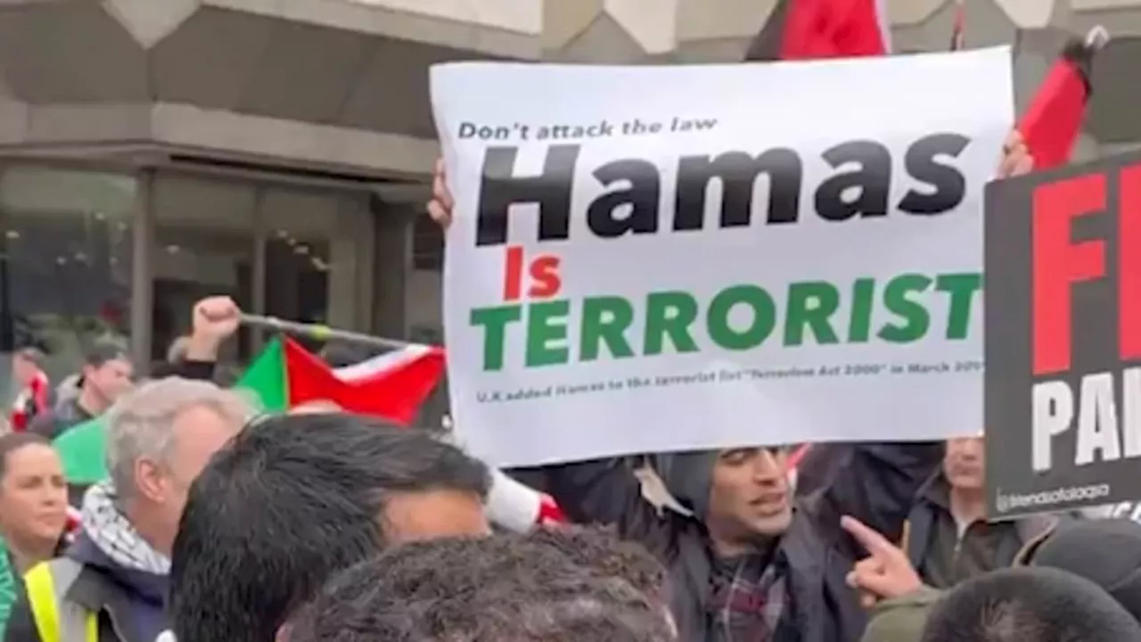 Met Police arrest man carrying 'Hamas is terrorist' sign at Gaza demo