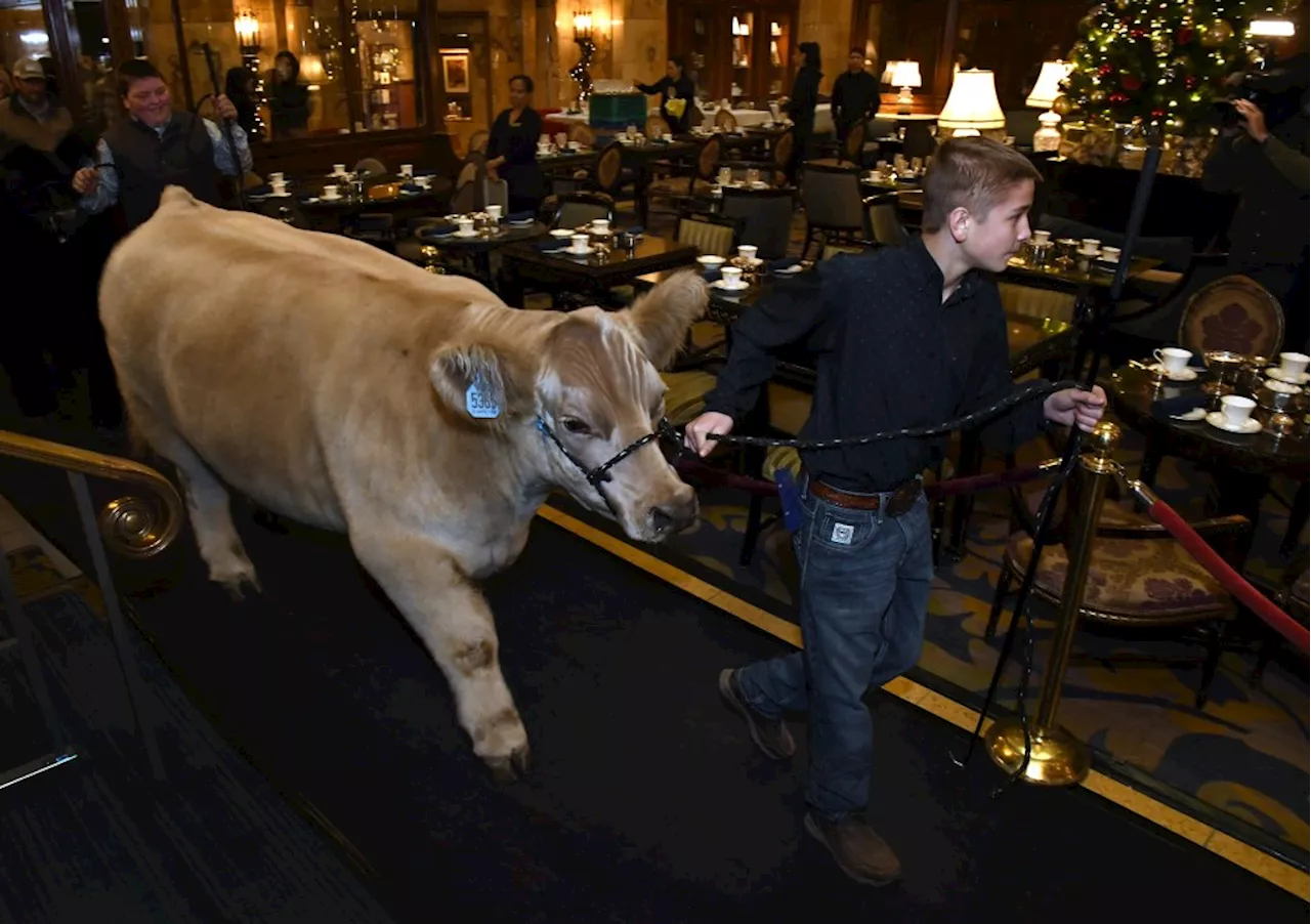 PHOTOS: 78th Annual Steer at The Brown Palace Hotel