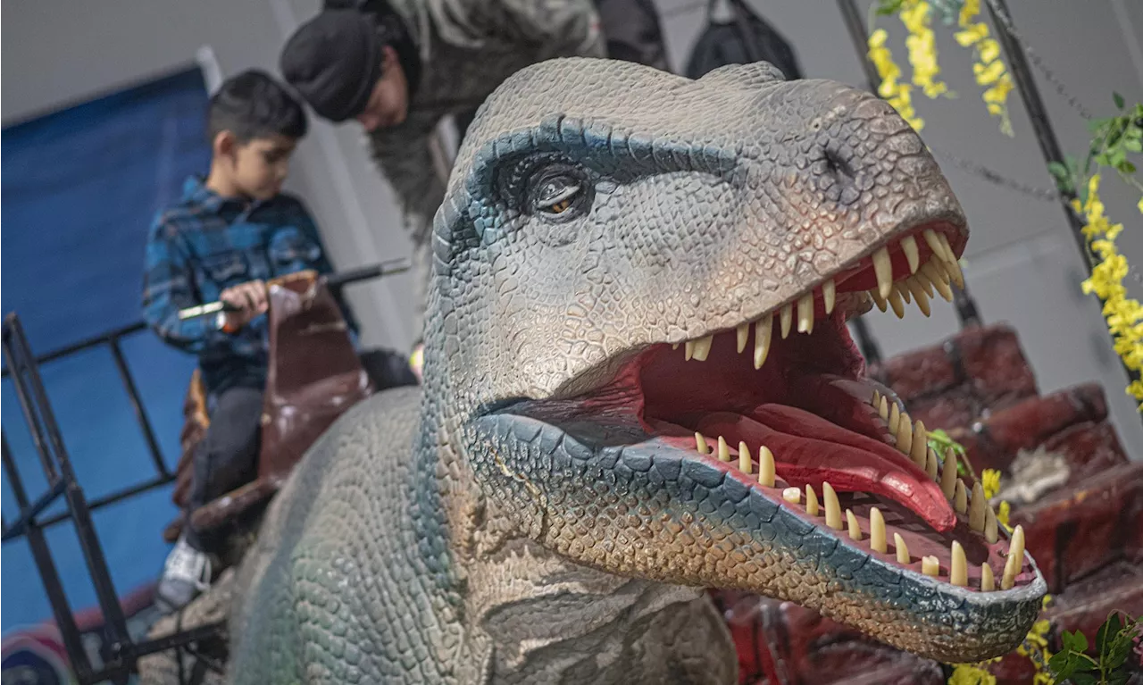 Photos: Welcome to Jurassic Quest