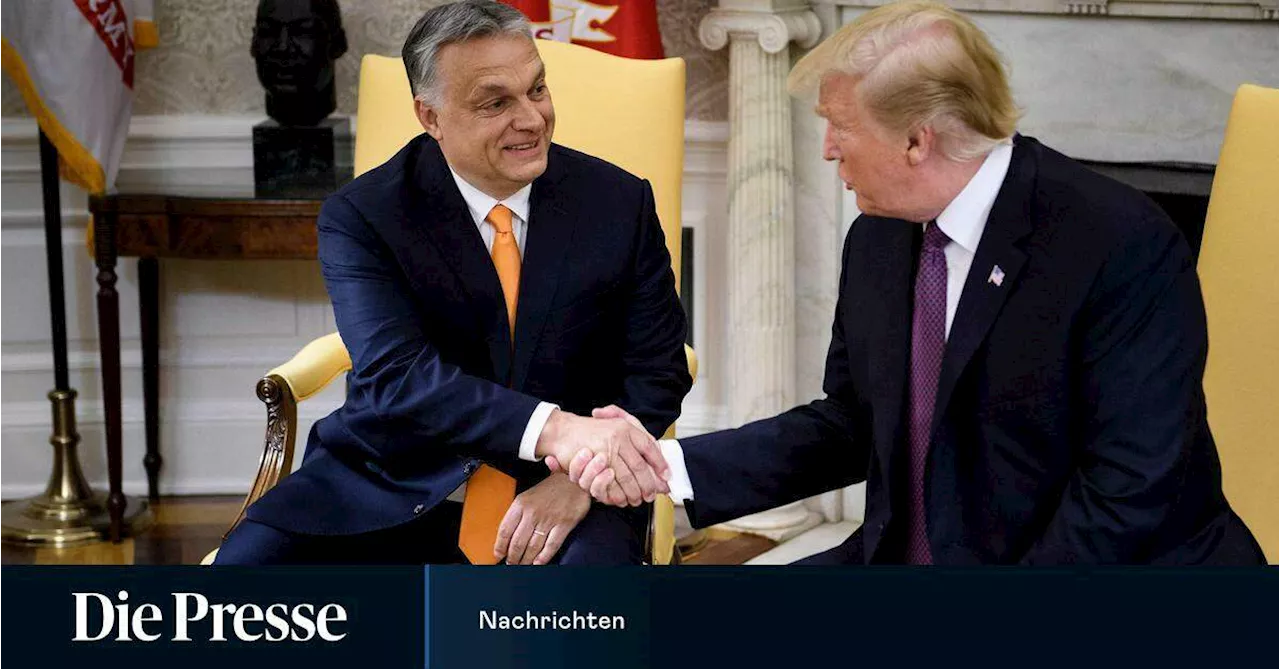 Orban lobte Trump als „Präsidenten des Friedens“