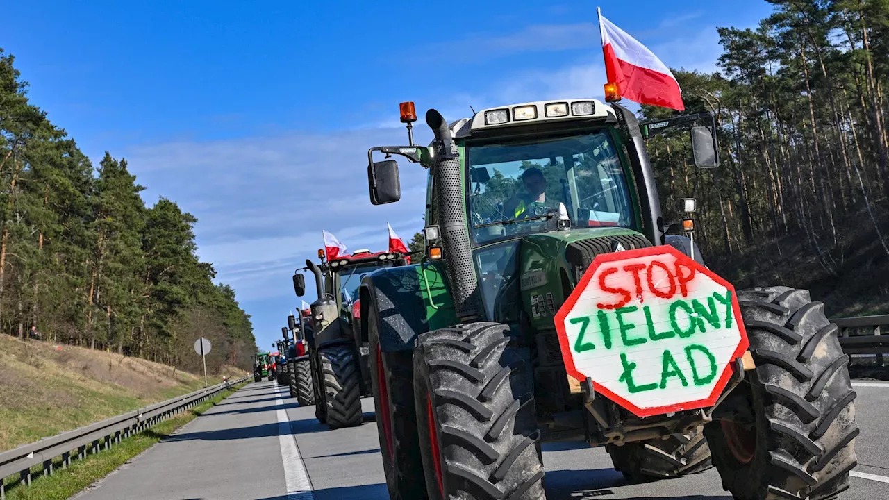 Proteste gegen EU-Agrarpolitik - Bauernverband signalisiert Kompromissbereitschaft bei Agrardiesel