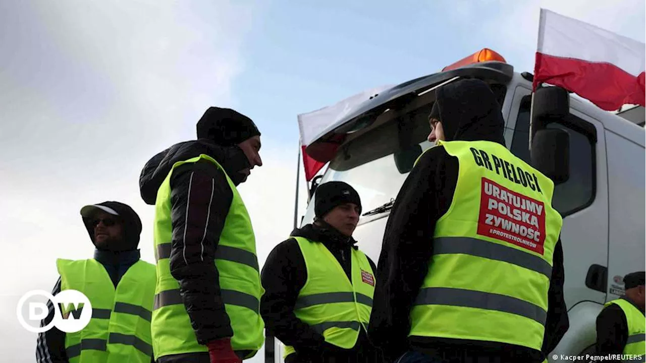 Фермеры трех стран протестовали против аграрной политики ЕС