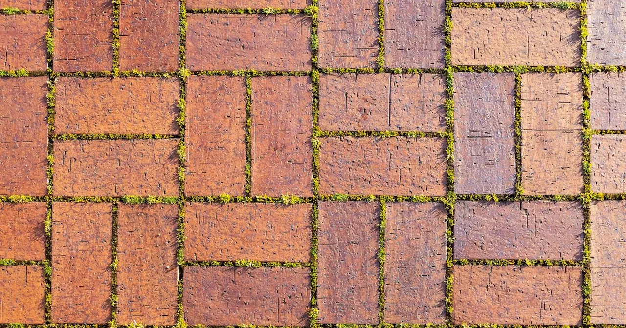 Make your patio 'look like new' with basic £2 household item