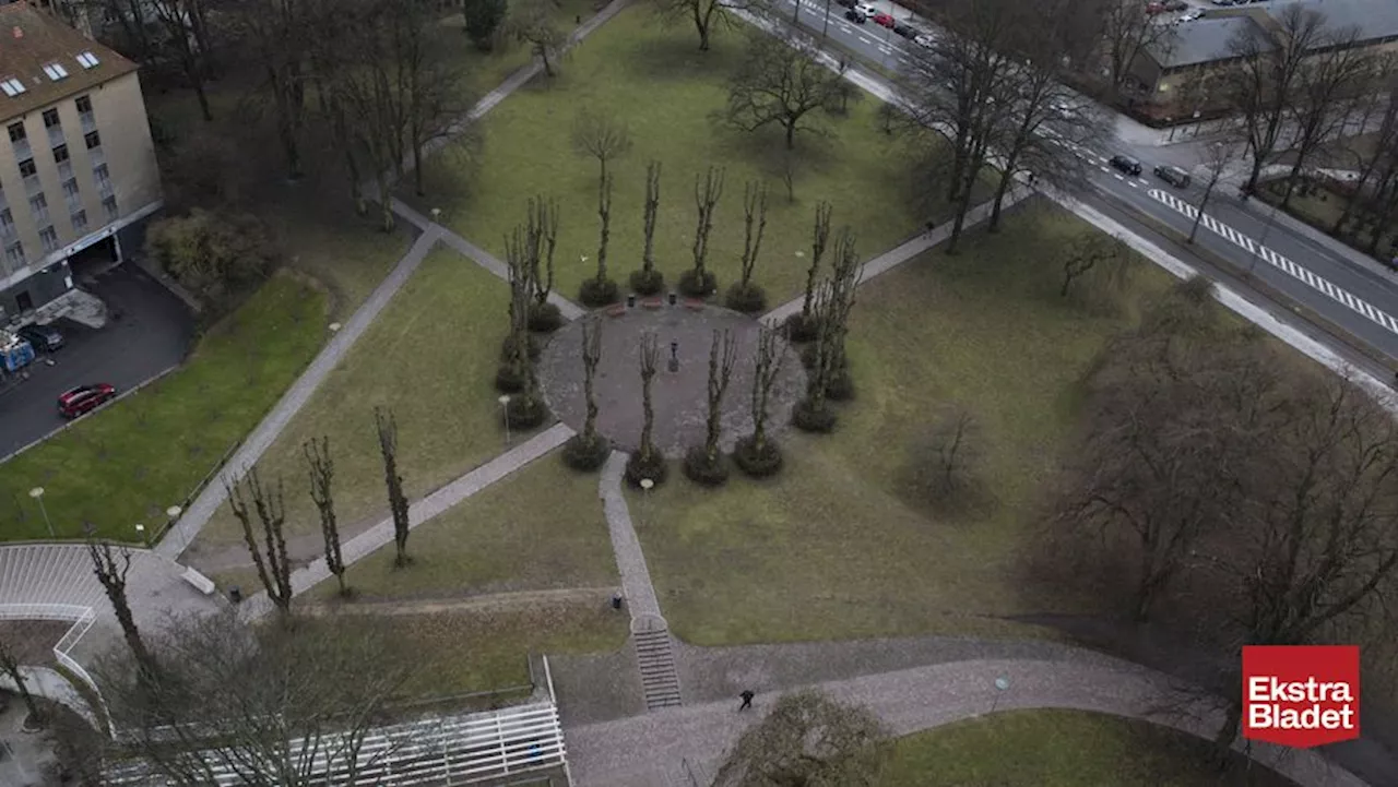 Kæmpe bypark på vej i Aarhus: Stor vej må lukke