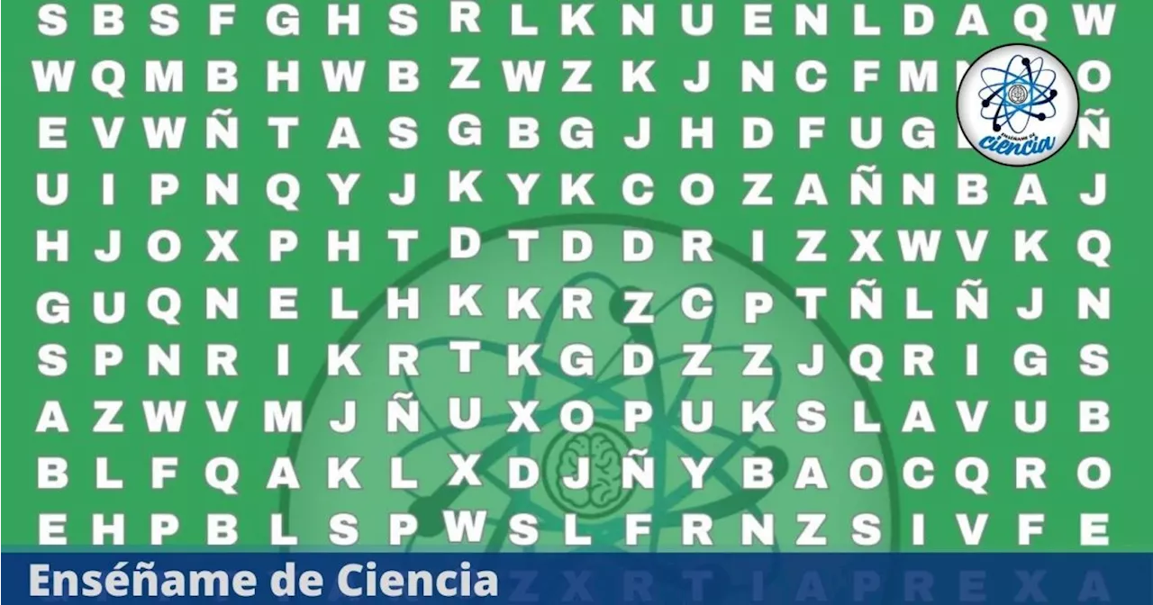 Acertijo visual de la palabra ATÚN: Ni los más GENIOS son capaces de encontrarla en la sopa de letras VIRAL