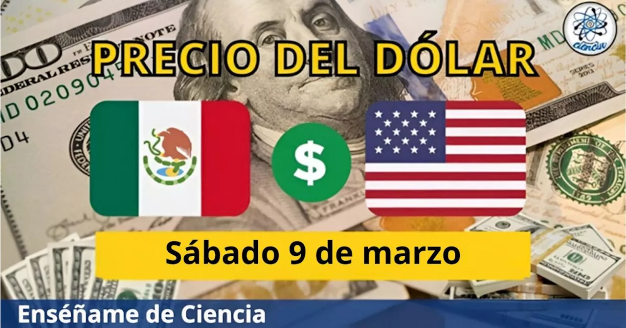 Precio del dólar sábado 9 de marzo ¿Cómo amaneció el tipo de cambio en México?