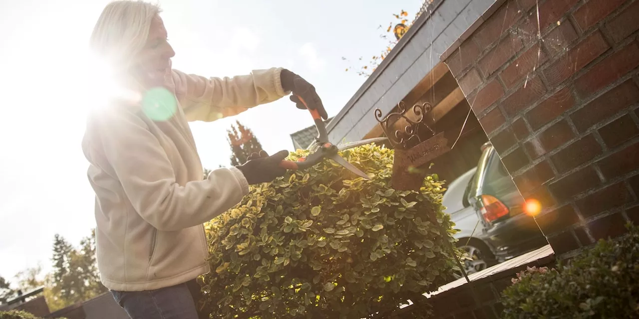 Vogelschutzzeit: Welche Arbeiten Sie jetzt im Garten machen dürfen