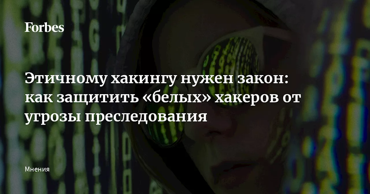 Этичному хакингу нужен закон: как защитить «белых» хакеров от угрозы преследования