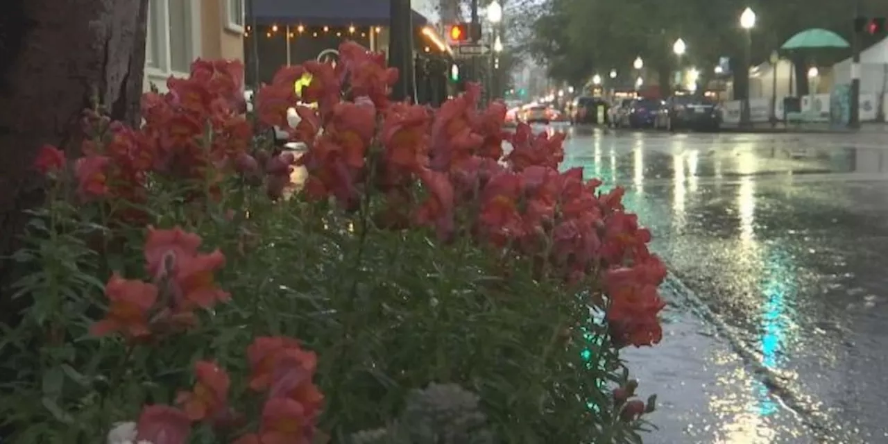 Rain cancels LoDa ArtWalk