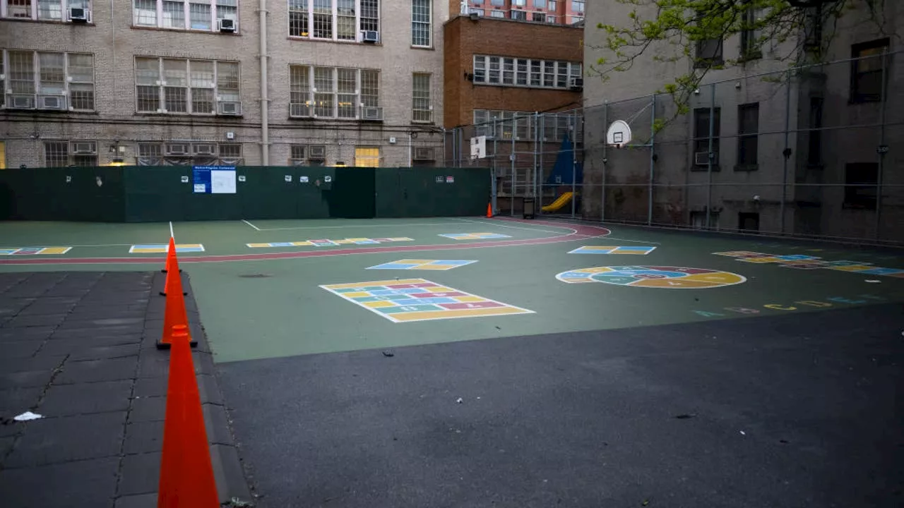 8-year-old carries handgun in backpack to Brooklyn elementary school