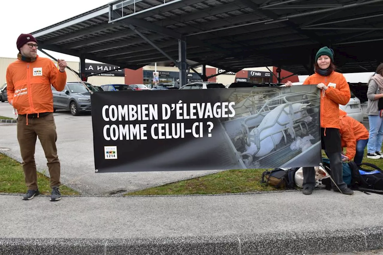 L214 mène une opération sensibilisation devant le Leclerc de Valdahon pour des élevages porcins plus respectue