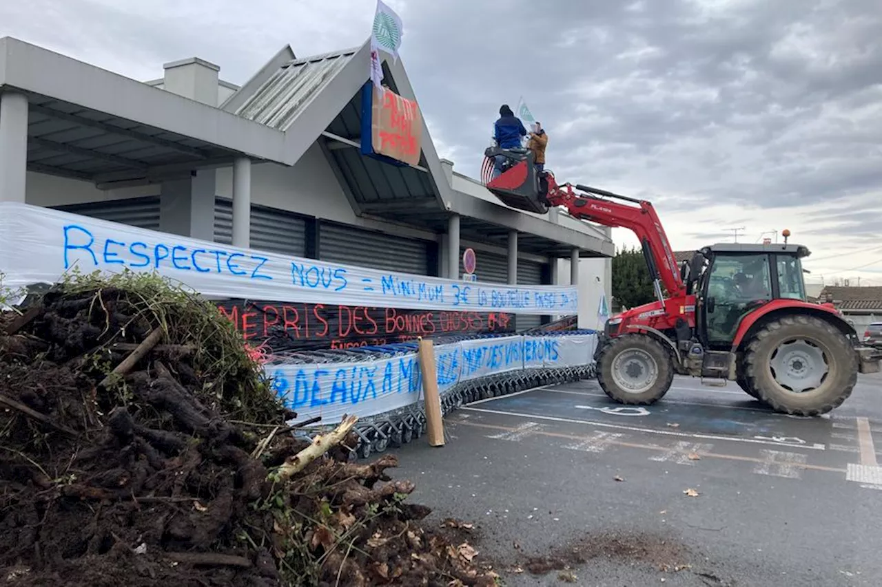 Les viticulteurs de Gironde visent les magasins Lidl, accusés de brader leurs produits