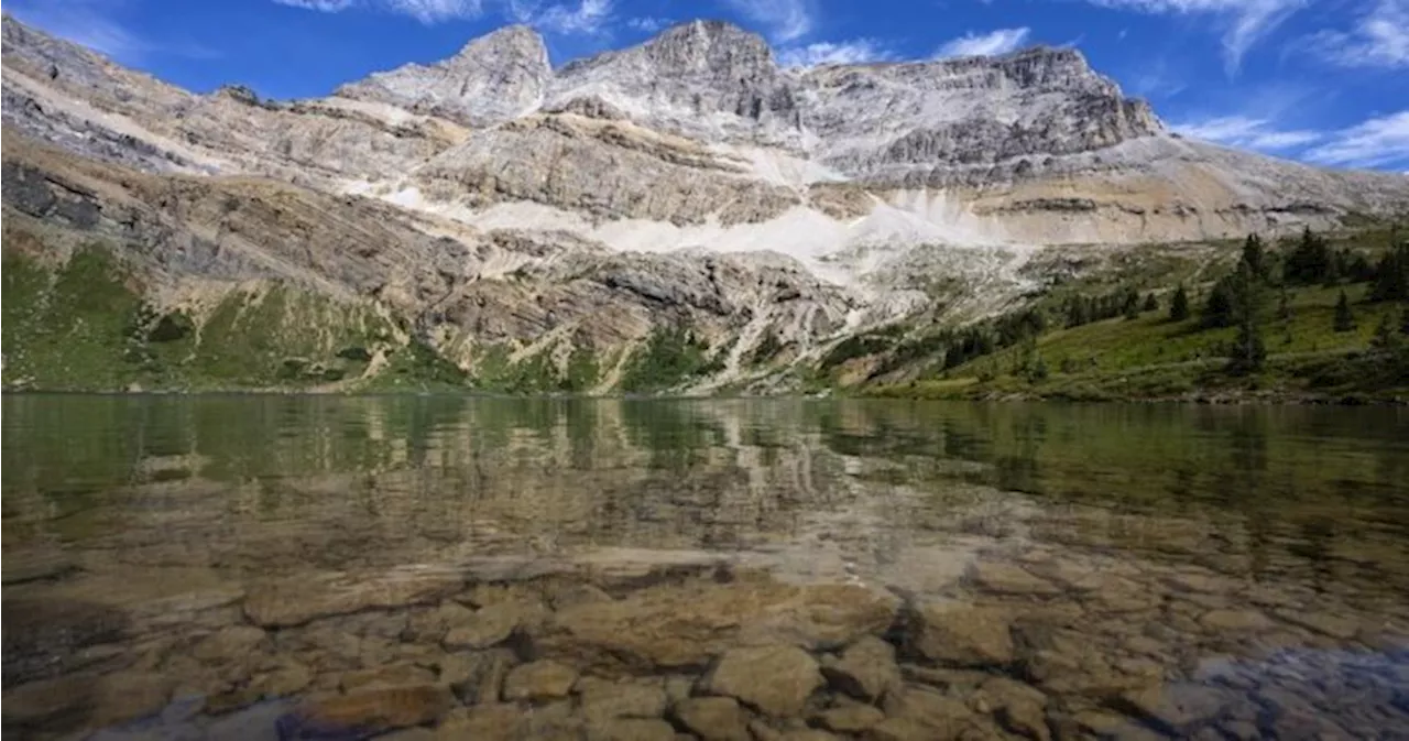 Parks Canada investigation finds no evidence of Banff cougar attack