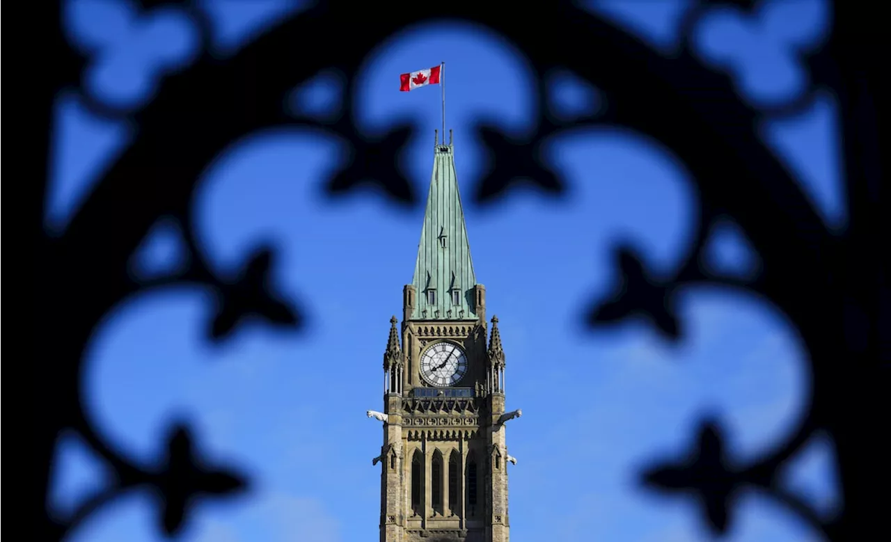 MPs to move on AI bill without testimony from Canadian companies, business group says