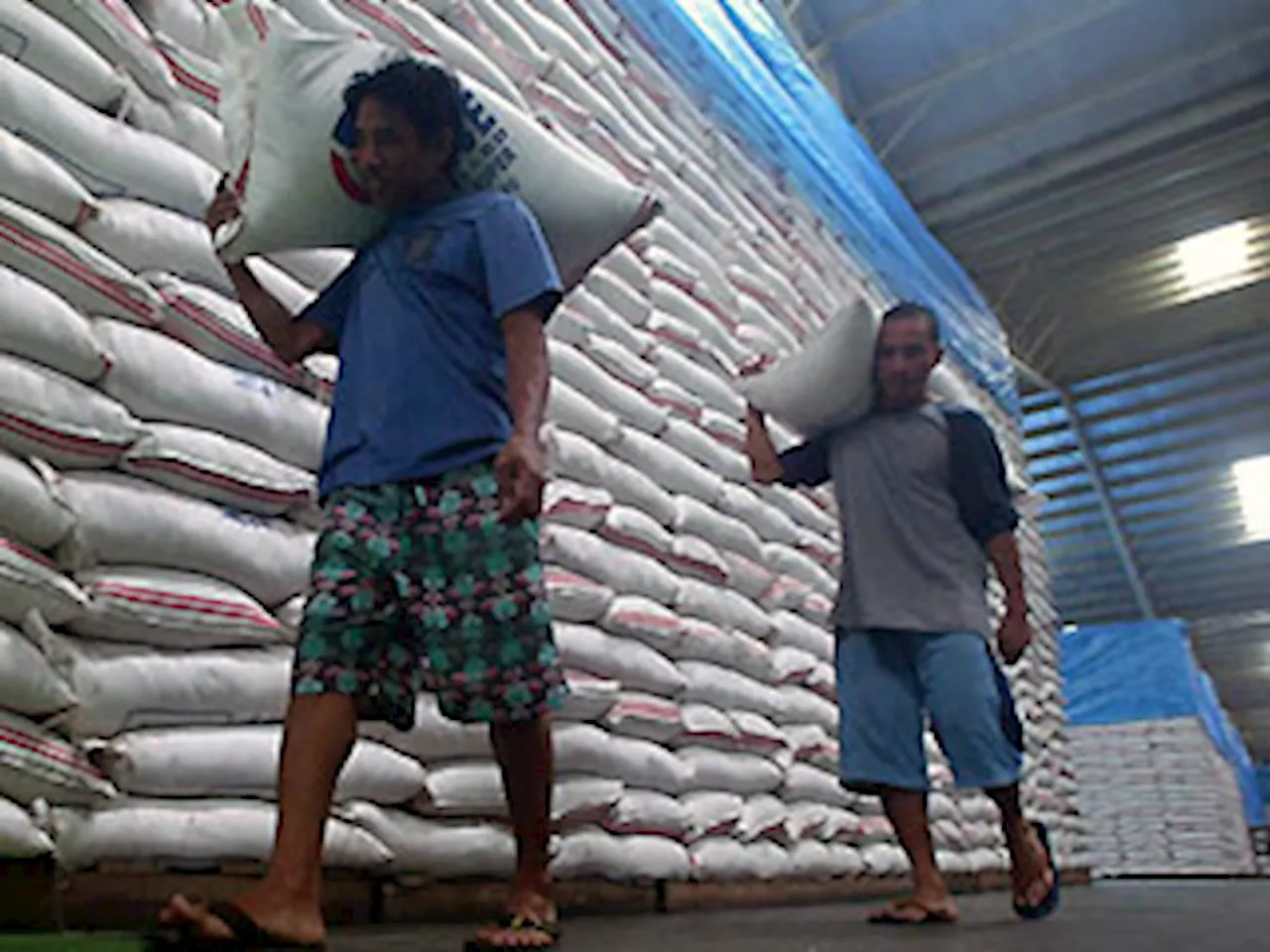 Agri chief orders audit of NFA's rice stocks disposition