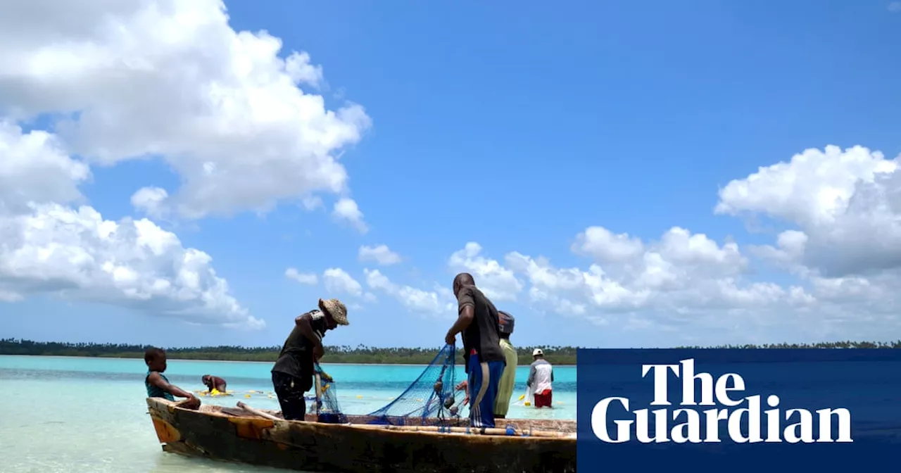 Eight children and an adult die in Zanzibar after eating sea turtle meat