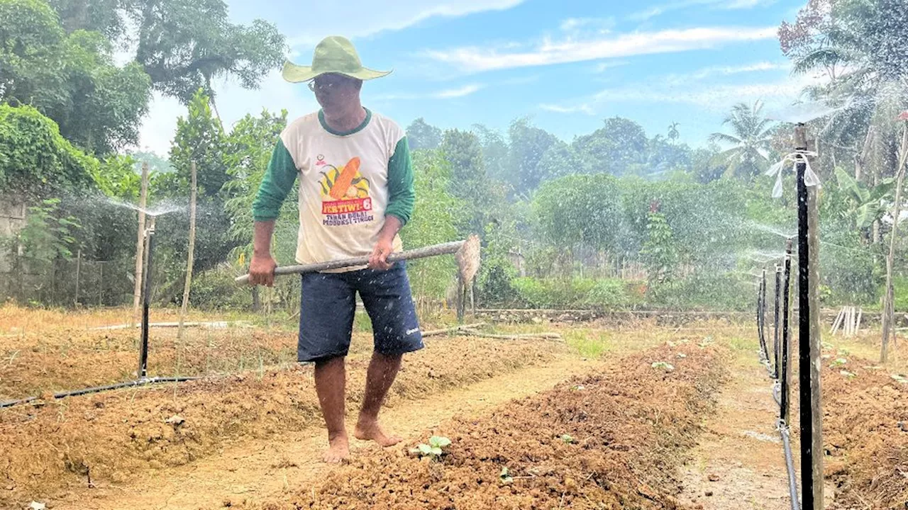 Bumi Terlalu Panas untuk Petani