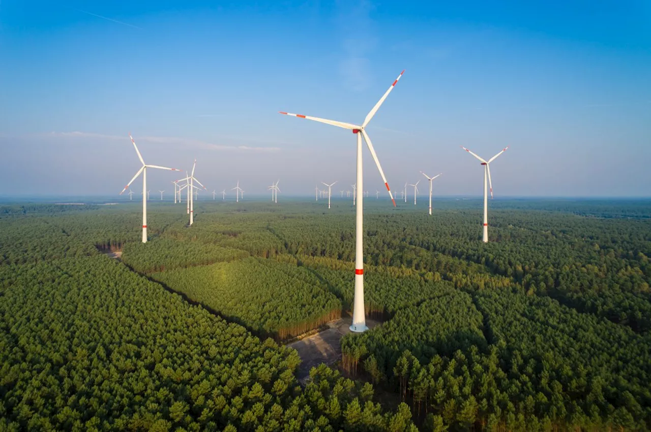 Bayerische Wirtschaft: Energiewende verläuft in keinem Bereich zufriedenstellend