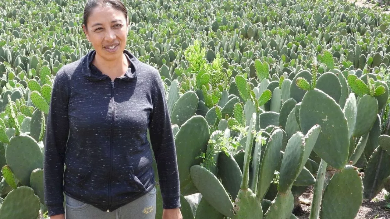 Confirma la ONU que el Cambio Climático afecta más a las mujeres que a los hombres