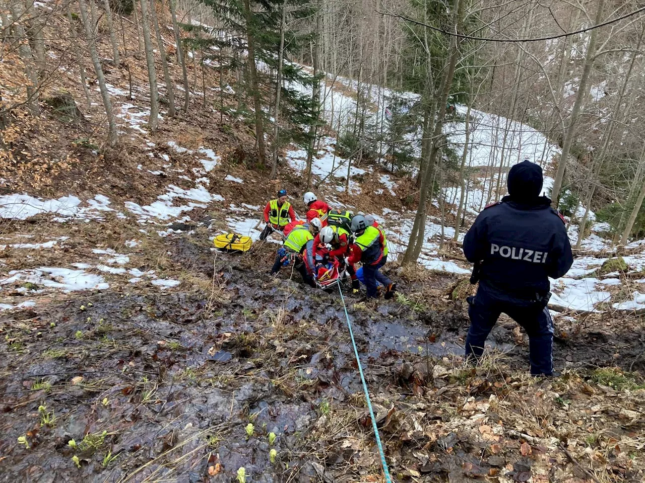 Flüchtlinge lassen Freund (14) alleine in Wald zurück