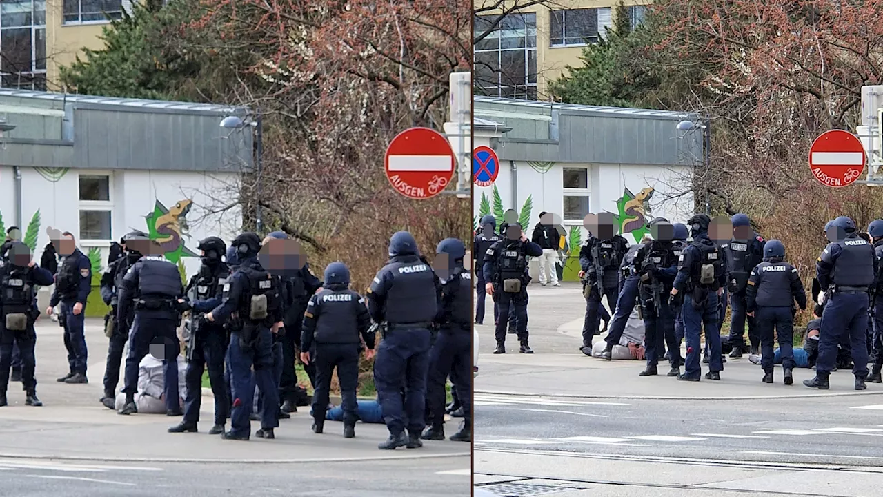 Großeinsatz der Wega – mehrere Personen festgenommen