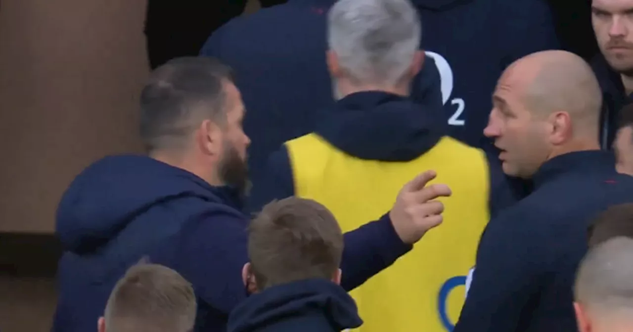 Andy Farrell and Steve Borthwick in heated argument during England v Ireland