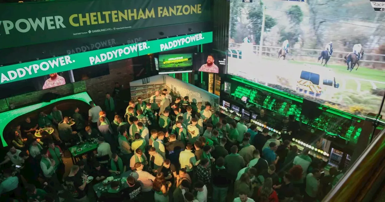 Win VIP tickets to the Cheltenham fanzone!