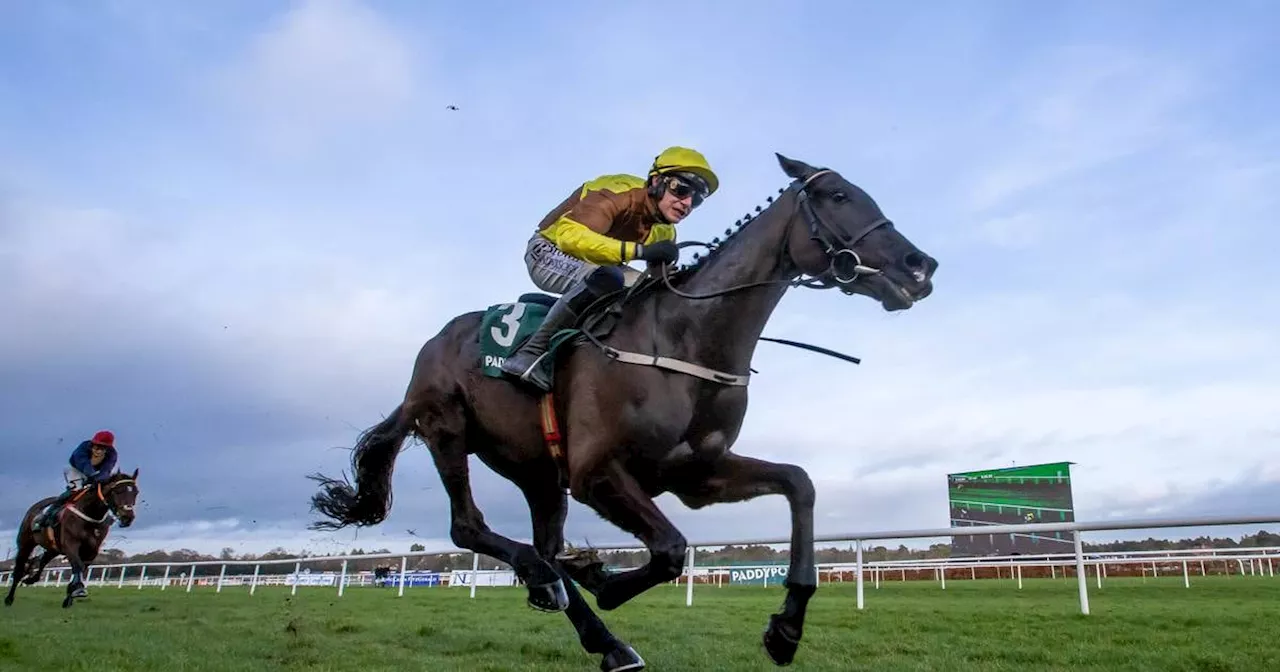 Cheltenham vox pop: ‘If he reproduces his Christmas performance at Leopardstown, he’ll lap them!’