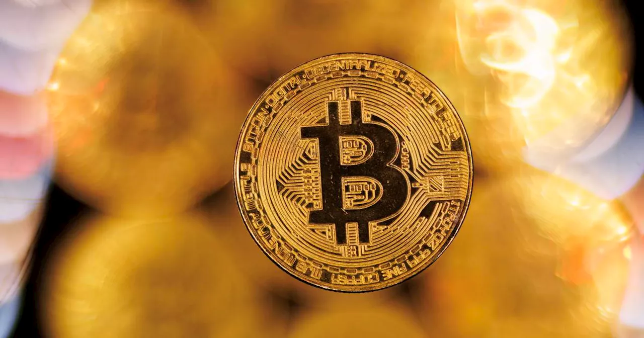 David McWilliams: Bitcoin’s real value is based on the greater fool theory