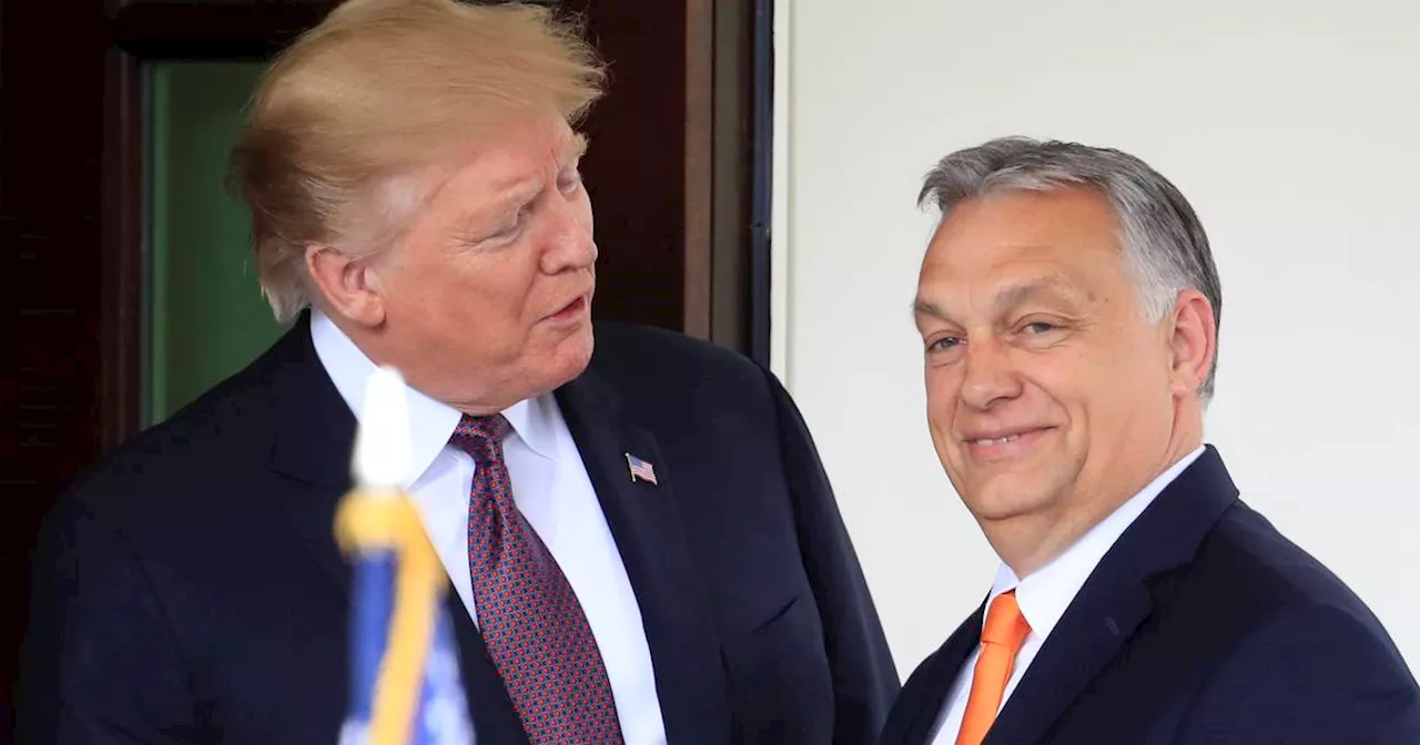 Hungary’s prime minister Orban supports Trump after Florida meeting