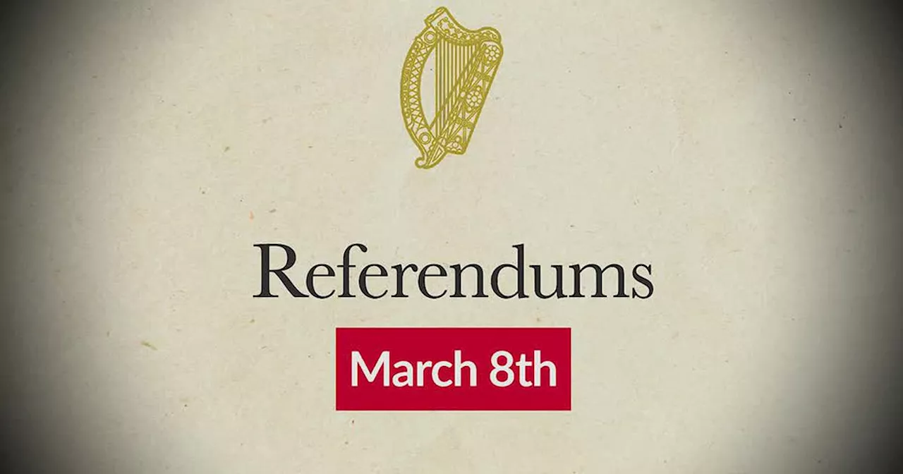 Referendums explained: everything you need to know about the March 8th referendums