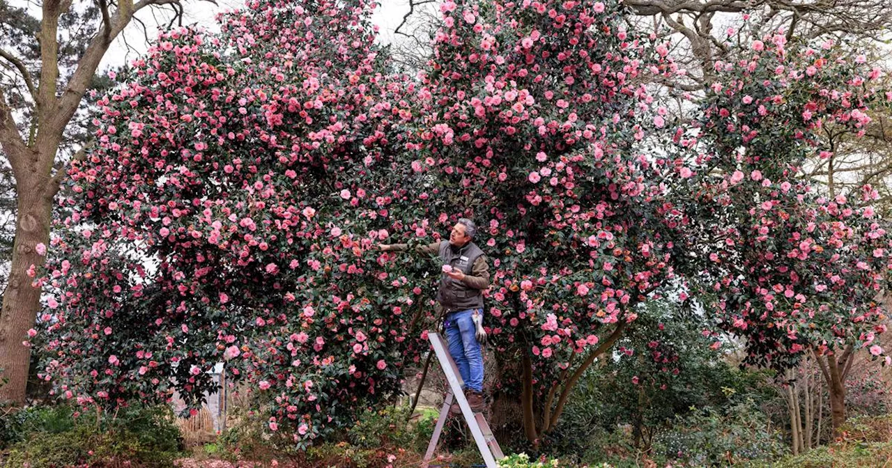 Warmest February to date was recorded last month, EU service reports