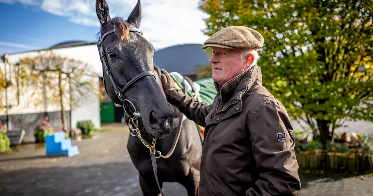 Willie Mullins: ‘Is this the year we have a blowout at Cheltenham? The expectation is so heavy’